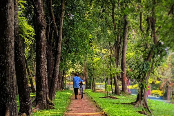 Walking Trail